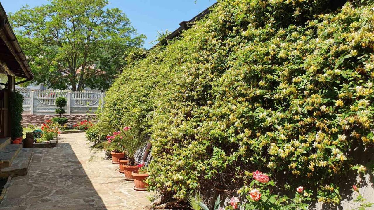 Marianas Guesthouse Obzor Exterior photo